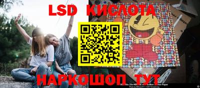 крисы Аргун