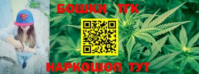 крисы Аргун