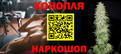 крисы Аргун