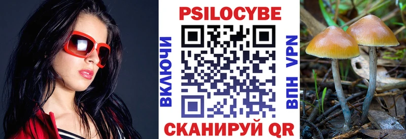 Псилоцибиновые грибы Cubensis  Борзя 