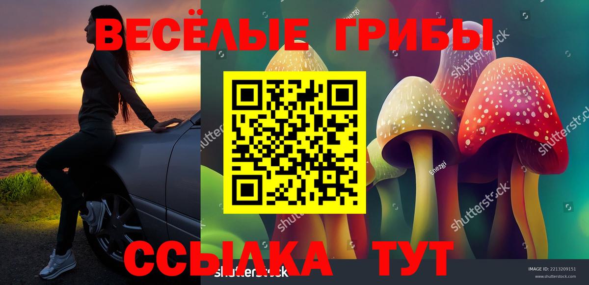 Борзя  Псилоцибиновые грибы прущие грибы  Галлюциногенные грибы прущие грибы  Вход с VPN 