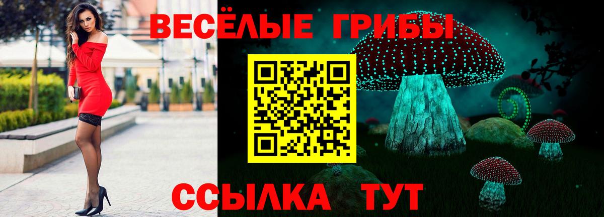 Псилоцибиновые грибы прущие грибы Борзя